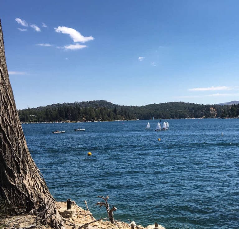 Cabin Life (For the Weekend) at Lake Arrowhead