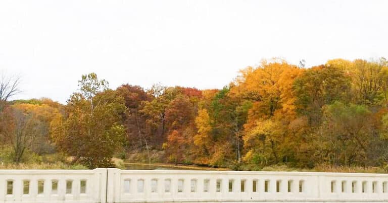 Incredible fall colors in Indianapolis