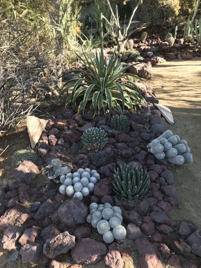 Adventures in Palm Springs