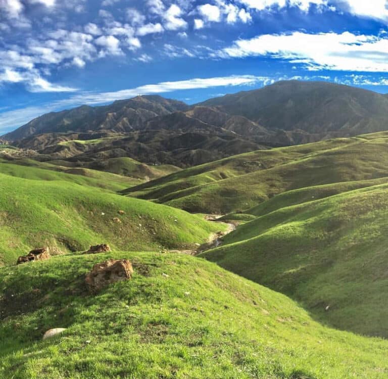 Rolling Green Hills of Spring