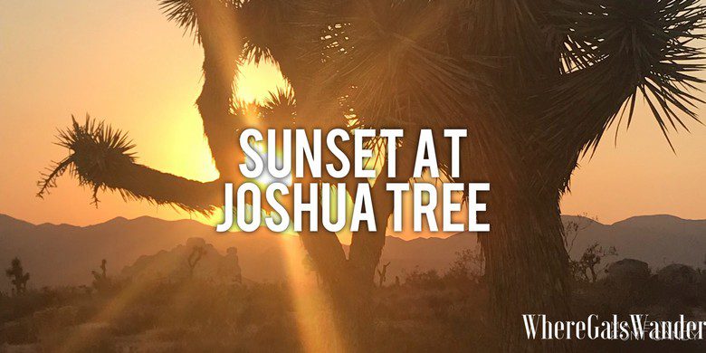 Sunset at Joshua Tree (1)