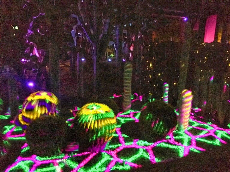 Electric Desert (12 Photos)