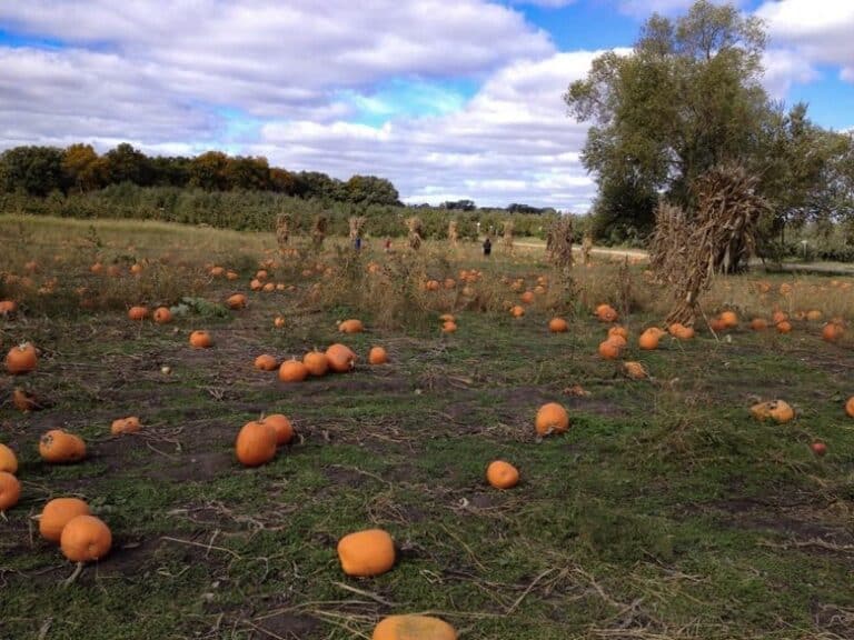 Feeling Fall in Wisconsin