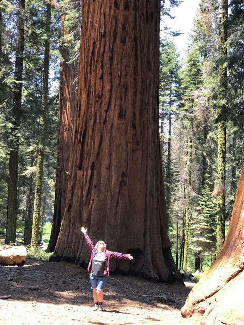 Zanne at Sequoia National Park.