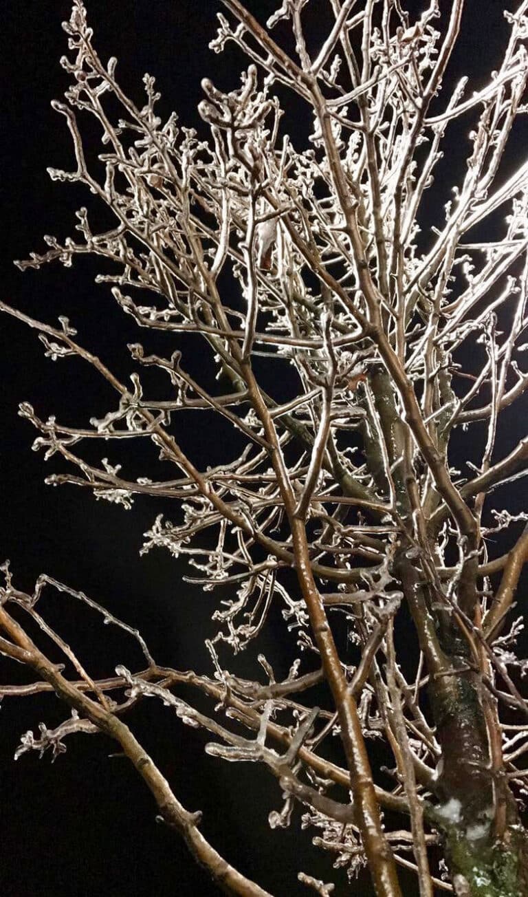 Real Winter in New England, WhereGalsWander