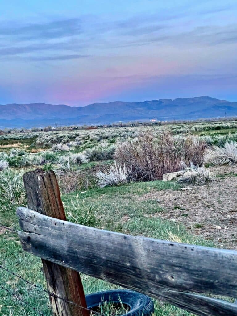 Carson Valley, Nevada
