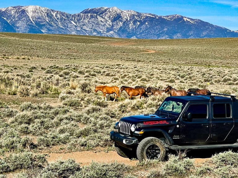 Where To Go in Carson Valley