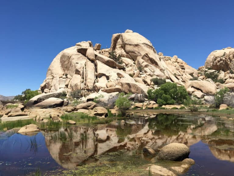 Hiking Barker Dam at Joshua Tree