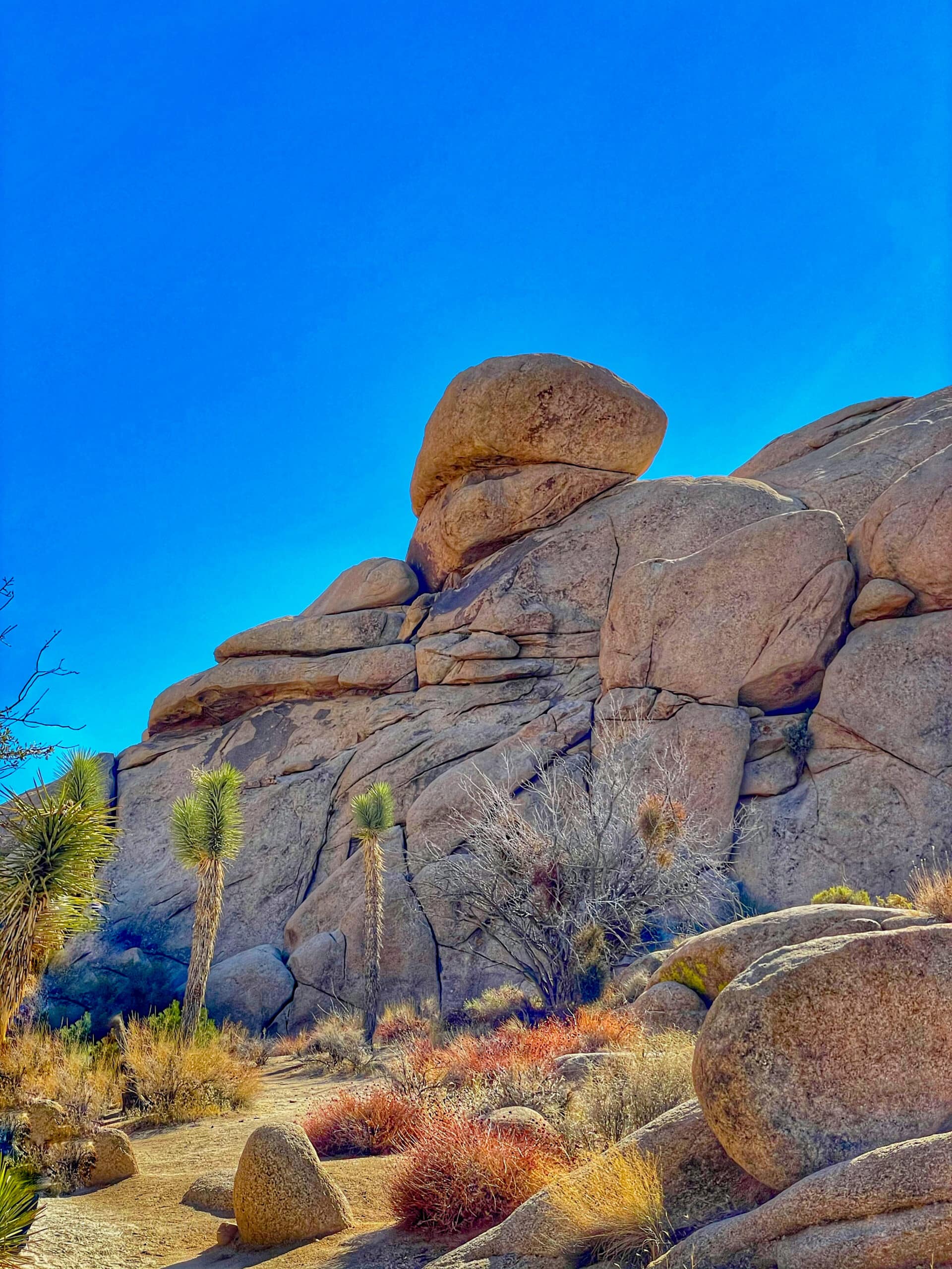Barker Dam Trail at Joshua Tree National Park