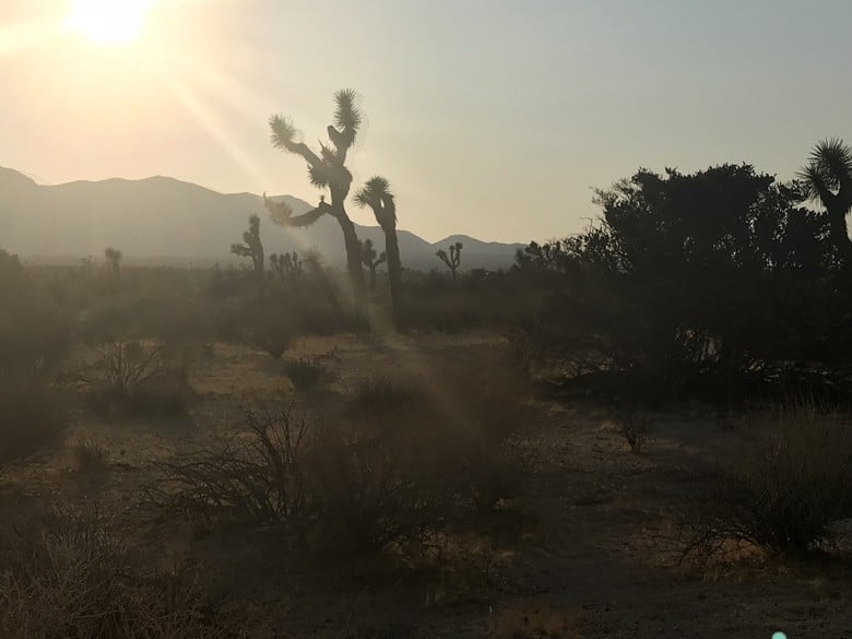 Sunset at Joshua Tree (21)
