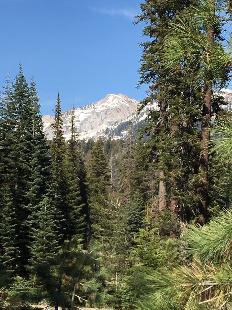 The Majestic Kings Canyon National Park
WhereGalsWander
National Parks Top 10