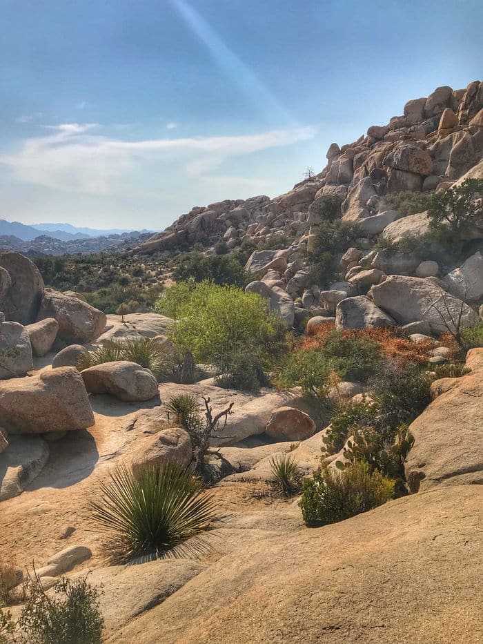 Barker Dam Trail at Joshua Tree National Park