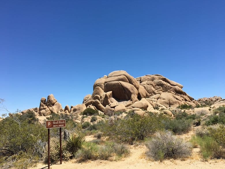 Skull Rock
Joshua Tree National Park
National Parks Top 10