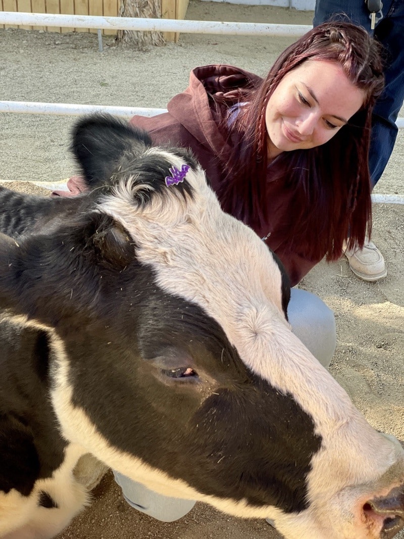Anya from WhereGalsWander hugs a cow at Gentle Barn