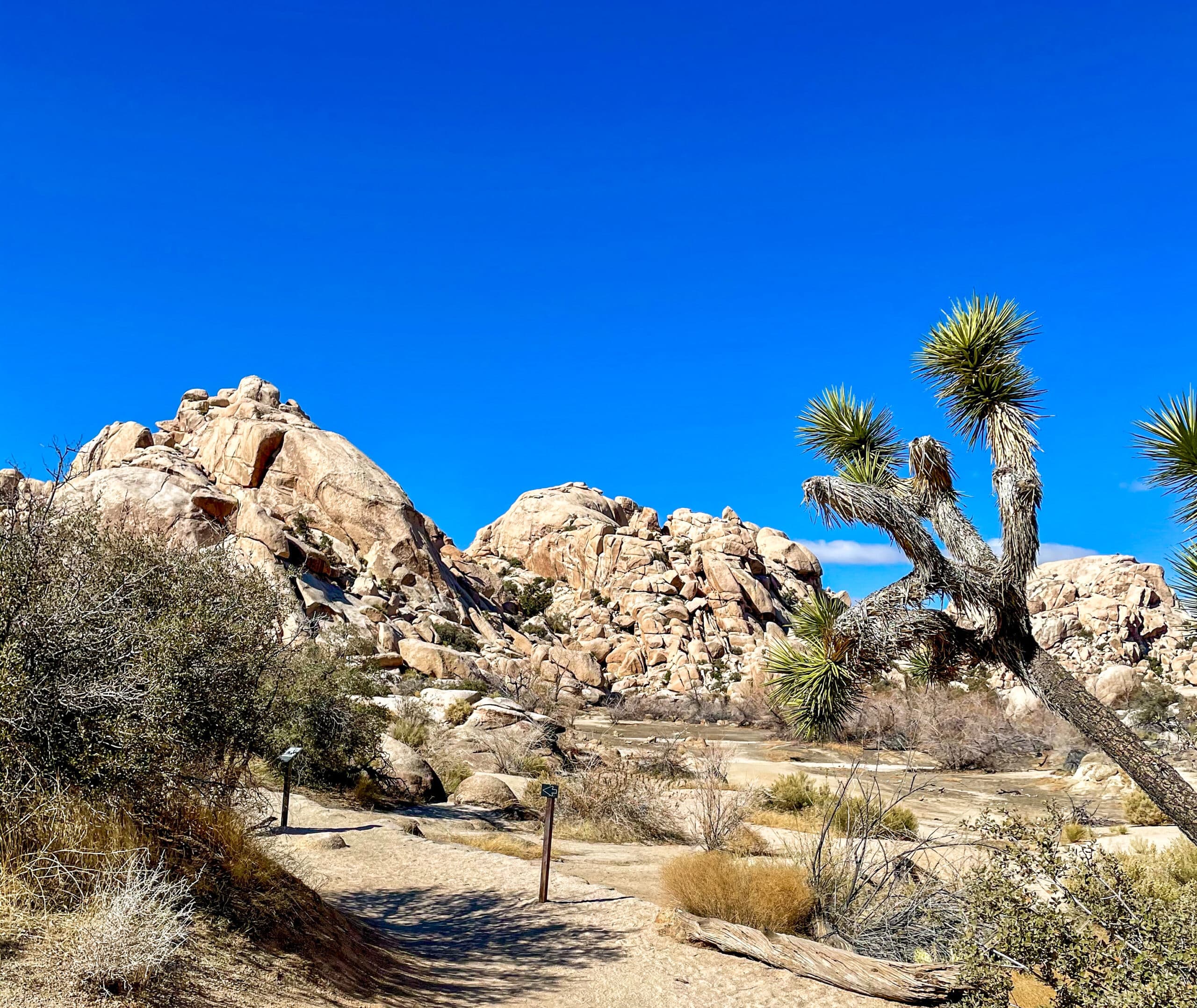 Barker Dam Trail at Joshua Tree National Park