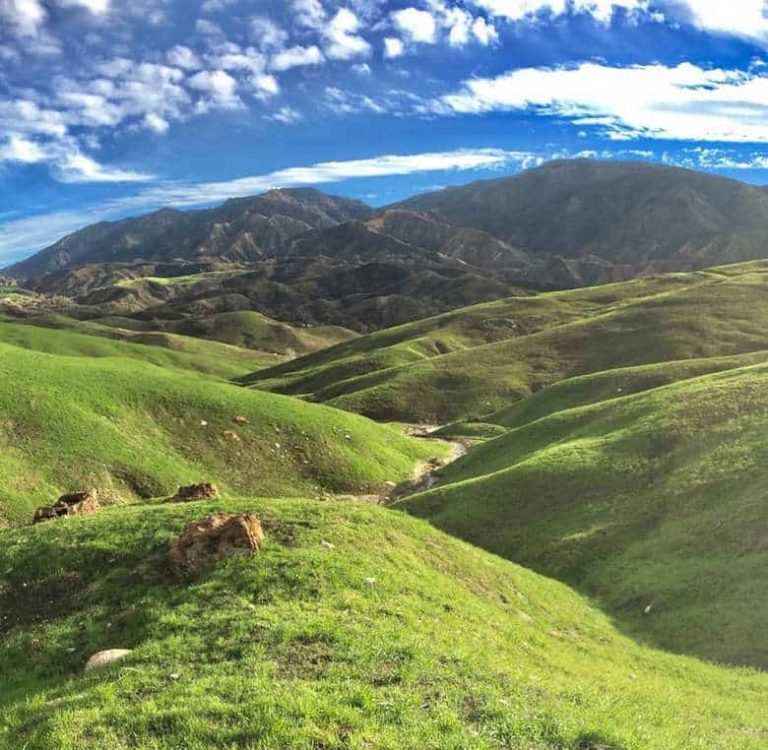 Rolling Green Hills of Spring