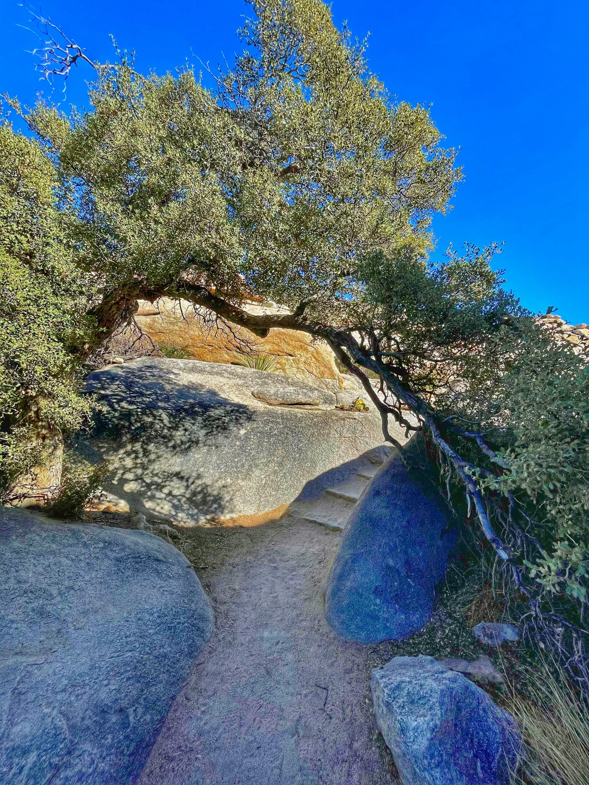 Barker Dam Trail at Joshua Tree National Park