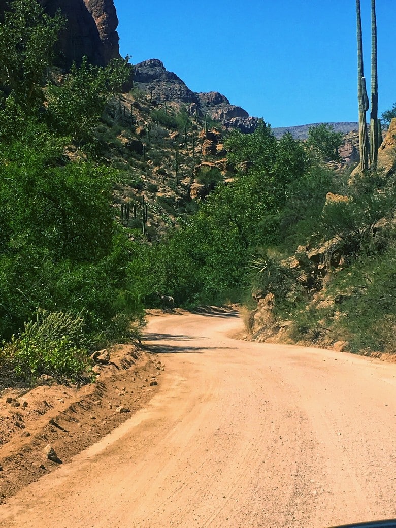 Driving the Apache Trail