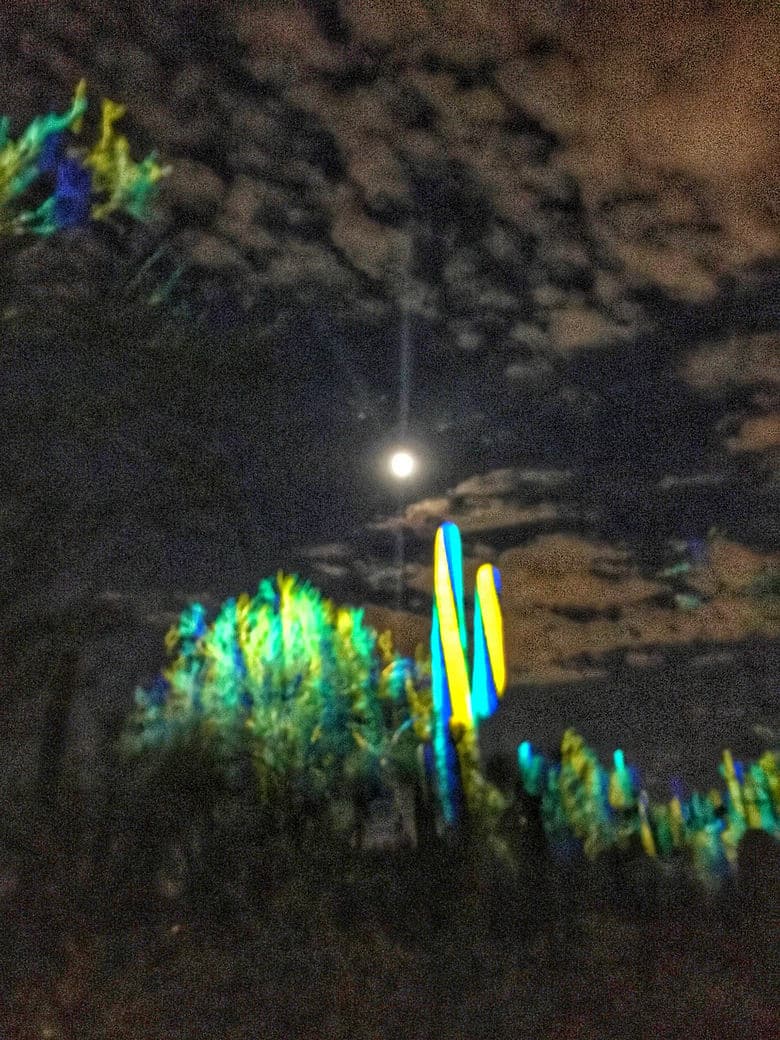 Electric Desert light installation at the Desert Botanical Garden