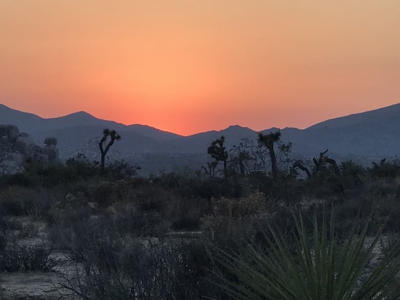 Sunset at Joshua Tree (4)