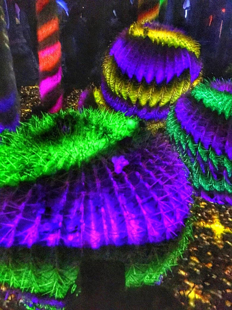 Electric Desert light installation at the Desert Botanical Garden