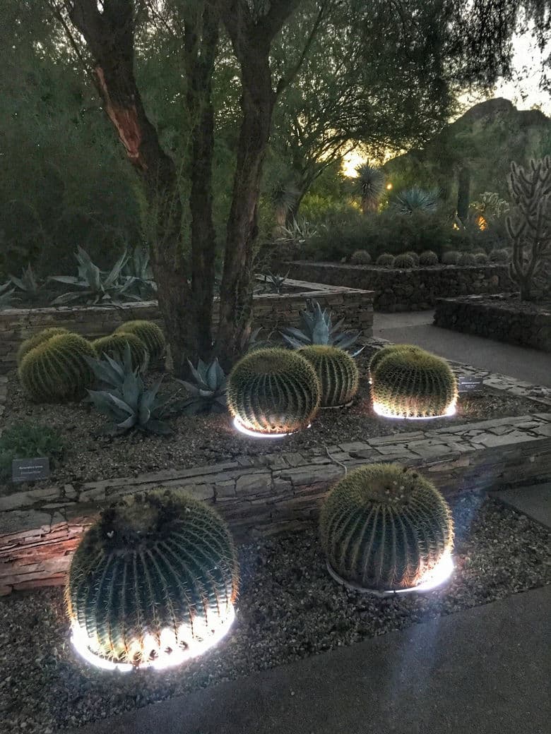 Electric Desert light installation at the Desert Botanical Garden