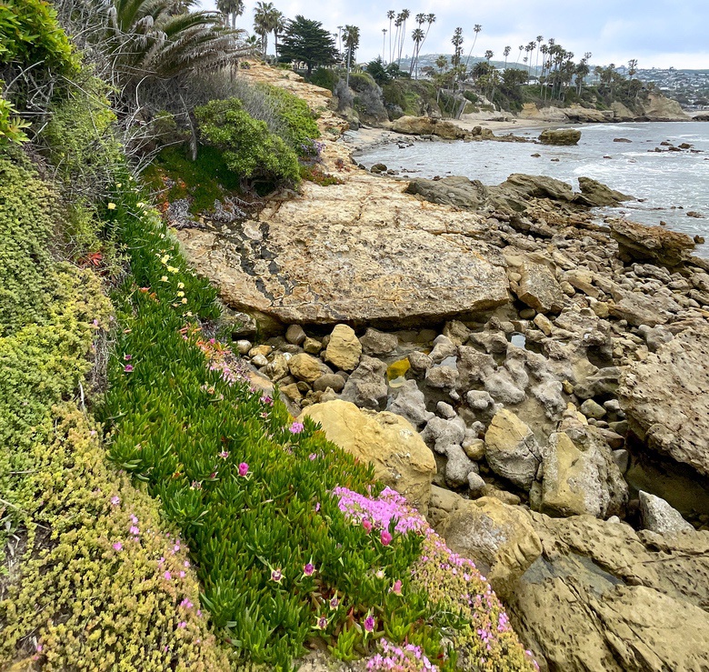 Heisler Park, Laguna Beach
WhereGalsWander
