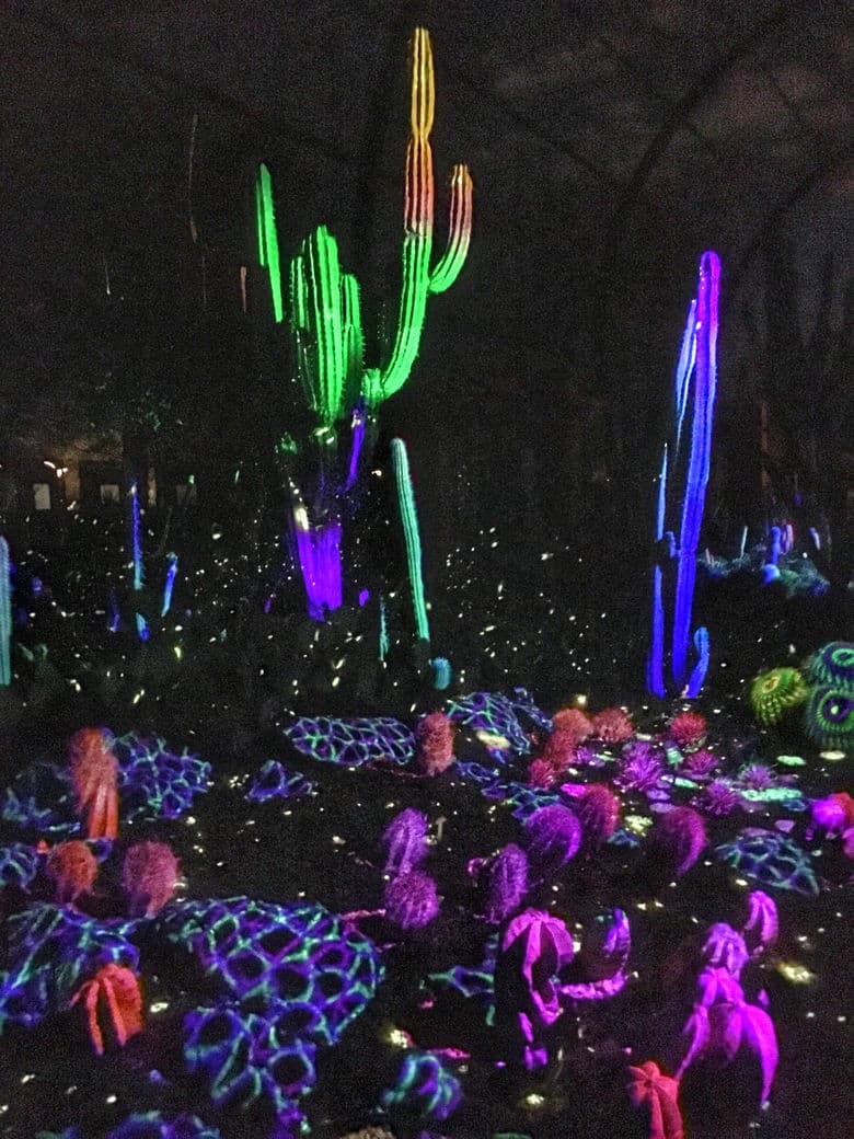 Electric Desert light installation at the Desert Botanical Garden