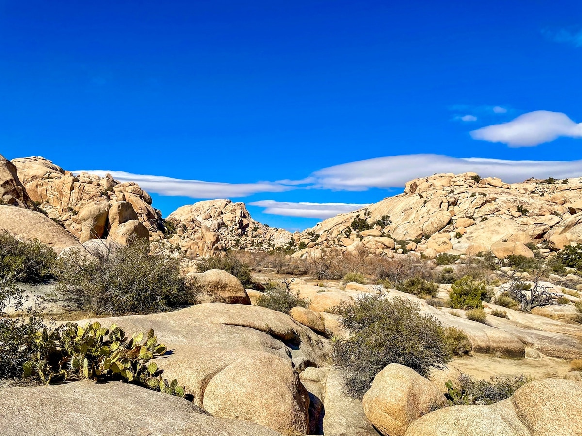 Barker Dam Trail at Joshua Tree National Park