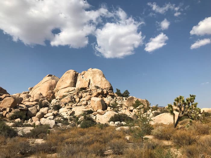 Barker Dam Trail at Joshua Tree National Park