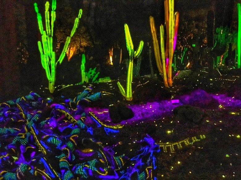 Electric Desert light installation at the Desert Botanical Garden