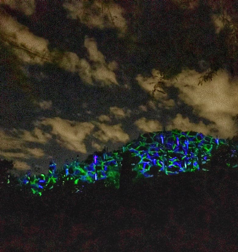 Electric Desert light installation at the Desert Botanical Garden